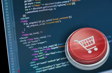 E-commerce solution Open Source Close Source Debate